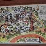 redwood03