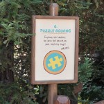 redwood06