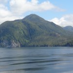 DSC00464