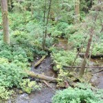 DSC00725