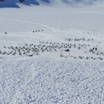 DSC00968