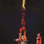 Cirque Iris Kiriki-145 (400x600)