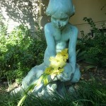 DL Walt's Grave Mermaid Flower