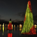 Sea World’s Christmas Celebration