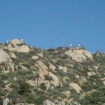 Ramona Pageant - Native Americans