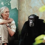 Dr. Jane Goodall and Freud