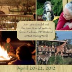 Jane_Goodall_wkd