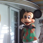 Mickey_Wonder_2008