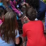 discovertour6