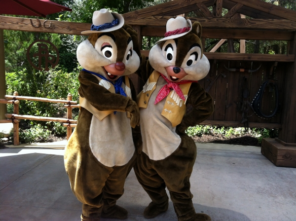 DL Big Thunder jamboree Chip and Dale