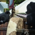 DL Merida Brave Meet and Greet Bears