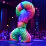 DCA preview 2012 366
