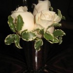 DCA_Carthay_Flowers