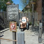 DL DCA CL Mater Petting Zoo