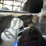 matterhornRide2