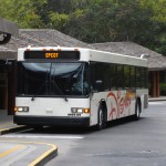 Disney Bus from Animal Kingdom Lodge to EPCOT