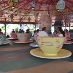 Theme Park Guest 101: Part 1- How to make your visit go smoothly
