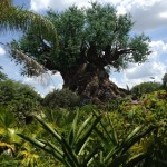IMG_2522 (300x400)