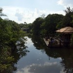 IMG_2618 (600x450)