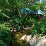 IMG_2620 (600x450)