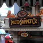 DL Omnibus Halloween Pumpkins 3 Photo Shop