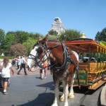 Disneyland_WaltsFootsteps_horse