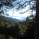 View from the Red Box Station