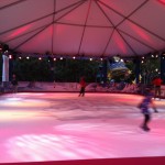 DLR_IceSkate017