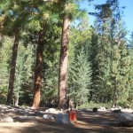 DLR_Mt Wilson-052_Buckhorn
