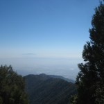 View towards Anaheim Hills from atop Mt. Wilson