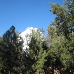 View of the observatory through the trees