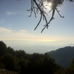 View of Los Angeles with the Pacific Ocean beyond