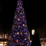 DL DCA Holiday Buena Vista Street Tree at Night (400x600)