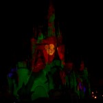 CelebrateTheMagic- 12
