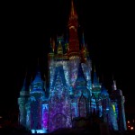 CelebrateTheMagic- 13