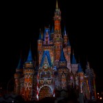 CelebrateTheMagic- 18
