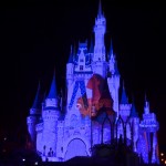CelebrateTheMagic- 20