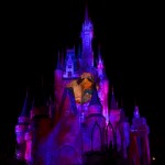 CelebrateTheMagic- 6