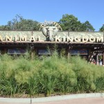 The Newly Updated Kilimanjaro Safari at Disney’s Animal Kingdom