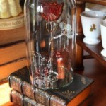 Fantasyland Merch 9 (267x400)