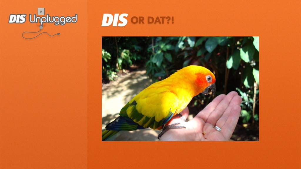 DIS-or-Dat-3