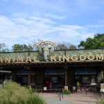 Overlooked-Animal-Kingdom-001