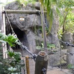 Overlooked-Animal-Kingdom-003