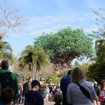 Overlooked-Animal-Kingdom-005