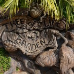 Overlooked-Animal-Kingdom-011