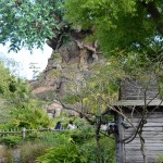 Overlooked-Animal-Kingdom-012