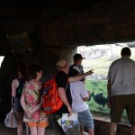 Overlooked-Animal-Kingdom-014