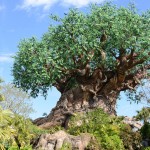Overlooked-Animal-Kingdom-016