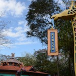 Overlooked-Animal-Kingdom-017