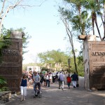 Overlooked-Animal-Kingdom-018